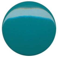 FASNAP TESTA TEAL